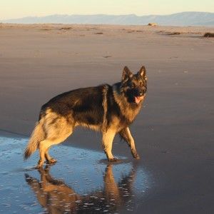 Meet your Posher, Bettina